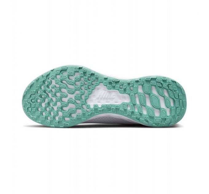 Кроссовки женские Nike Revolution 6 Nn (DC3729-501)
