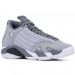 Кроссовки W Jordan 14 Retro Wolf 487524-004
