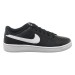 Кроссовки женские Nike Court Royale 2 Nn (DH3159-001)