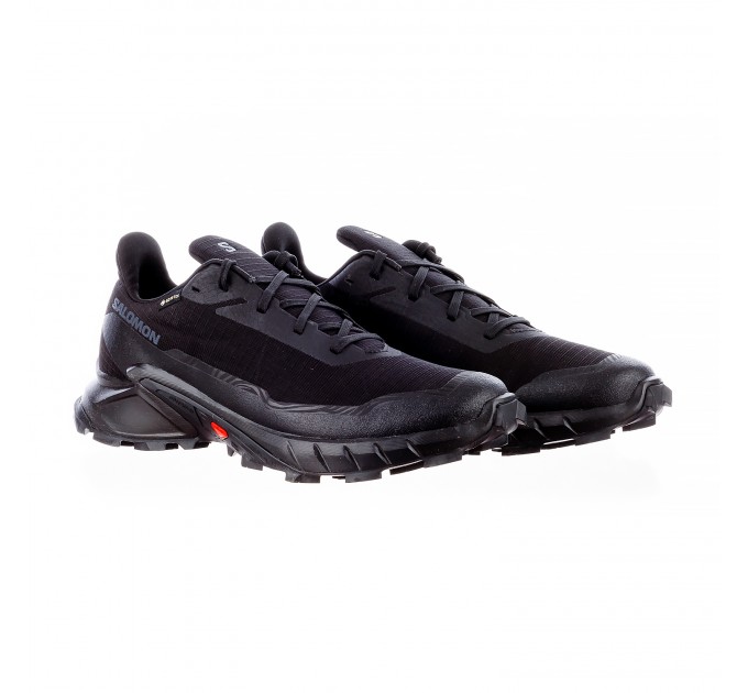 Кросівки чоловічі Salomon Alphacross 5 Gore-Tex (L47307500)