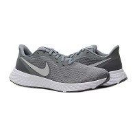 Кросівки Nike Revolution 5