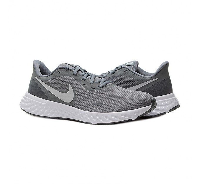 Кроссовки Nike Revolution 5