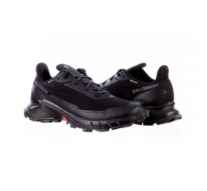 Кросівки чоловічі Salomon Alphacross 5 Gore-Tex (L47307500)