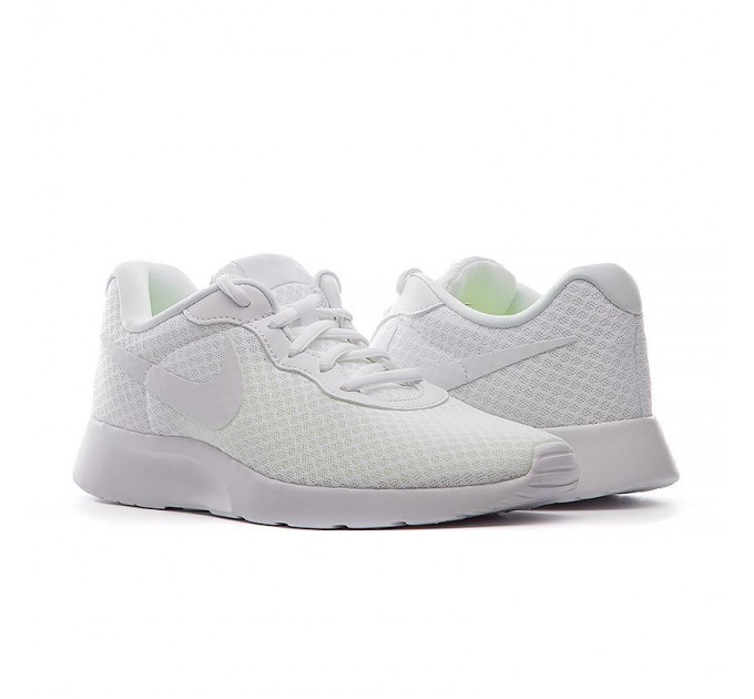 Кросівки Nike Tanjun Flyease DV7786-101
