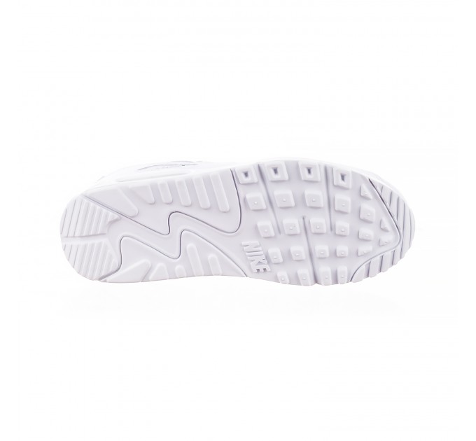 Кросівки жіночі Nike Air Max 90 (FV0949-100)