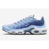 Кросівки Nike Wmns Air Max Plus FJ4736-400
