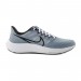 Кросівки Nike Air Zoom Pegasus 39 DH4071-401