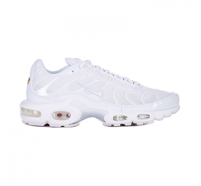 Кросівки Nike Air Max Plus DM2362-100