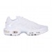 Кросівки Nike Air Max Plus DM2362-100