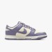 Кроссовки Nike Dunk Low Next Nature Daybreak (W) FZ4349-100