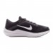 Кроссовки Бігові Nike Air Winflo 10 DV4022-003