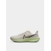 Кроссовки мужские Nike Air Zoom Pegasus 39 (DH4071-101)