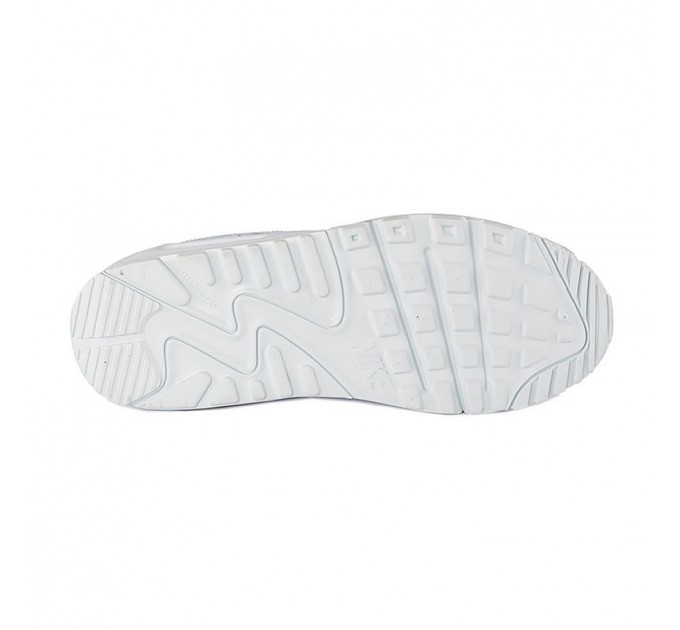 Кросівки Nike Air Max 90 Ltr (Gs) CD6864-100
