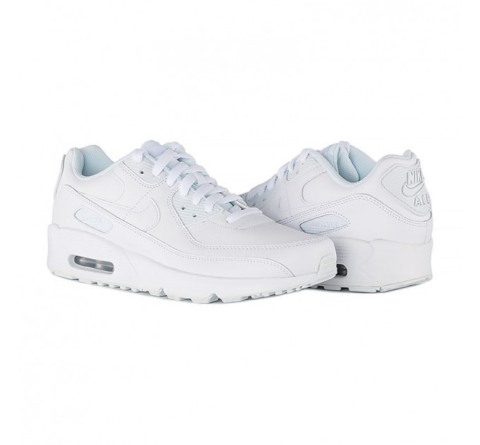 Кроссовки Nike Nike Air Max 90 Ltr (Gs) CD6864-100