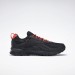 Кроссовки мужские Reebok Ridgerider 6 Gore Tex (GW1197)