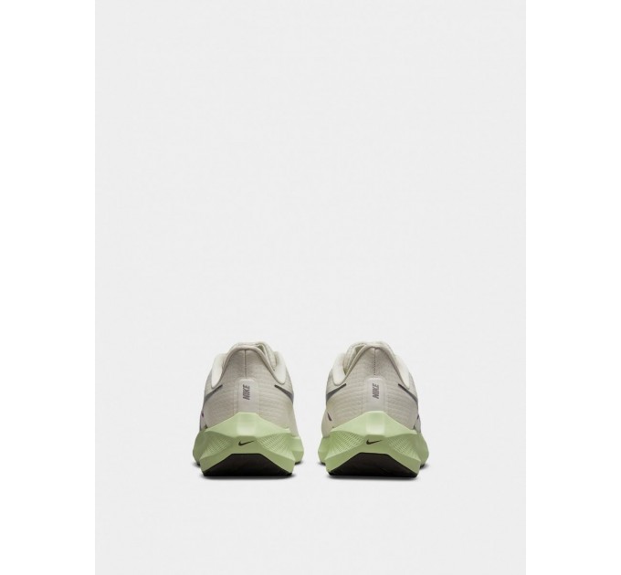 Кроссовки мужские Nike Air Zoom Pegasus 39 (DH4071-101)