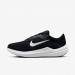 Кросівки Nike Air Winflo 10 Wide FN7992-003