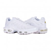 Кросівки Nike Air Max Plus DM2362-100