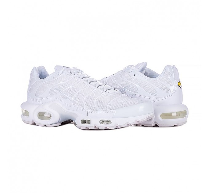 Кросівки Nike Air Max Plus DM2362-100