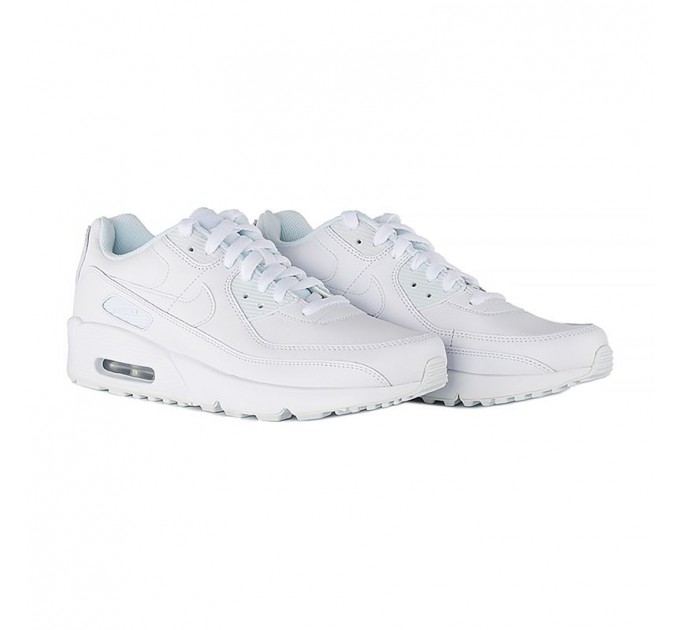 Кросівки Nike Air Max 90 Ltr (Gs) CD6864-100