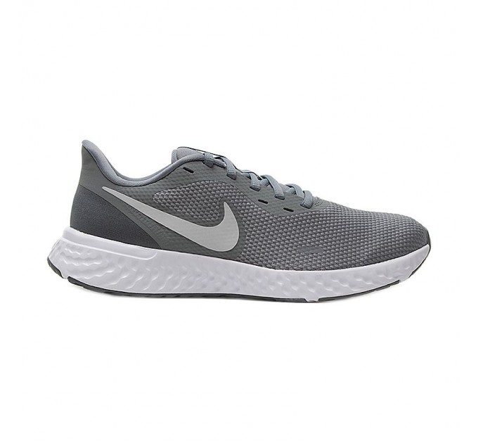 Кросівки Nike Revolution 5