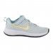 Кроссовки Nike Revolution 6 Nn (Psv) DD1095-409