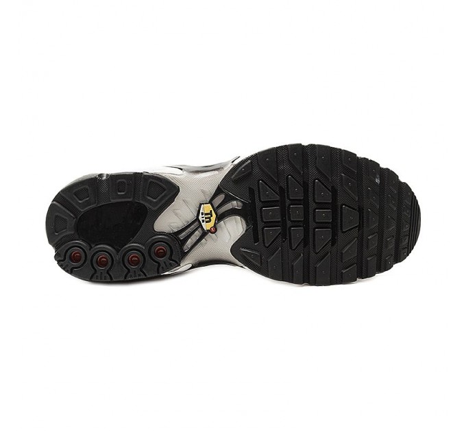 Кроссовки Nike Air Max Plus