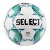 Мяч футбольный SELECT Campo Pro IMS