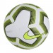 Мяч Nike Strike Pro Team FIFA 100