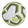 Мяч Nike Strike Pro Team FIFA 100
