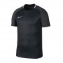 Nike Dry Academy Top SS GX2 060