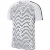 Nike Dry Academy Top GX2 100