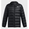 Куртка чоловіча Under Armour Legend Down Hooded Jacket (1385837-001)