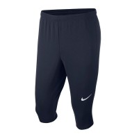 Nike Dry Academy 18 3/4 451