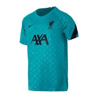 Футболка Nike Lfc Y Nk Dry Top Ss Pm CZ2753-300