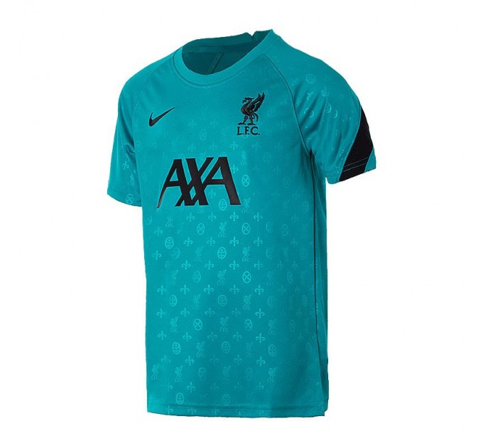 Футболка Nike Lfc Y Nk Dry Top Ss Pm CZ2753-300