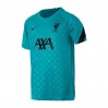 Футболка Nike Lfc Y Nk Dry Top Ss Pm CZ2753-300