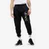 Брюки мужские Nike Club Plus Logo Pants Flc (DX0795-010)