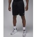 Шорти чоловічі Jordan Dri-Fit Sport Mesh (FN5816-010)