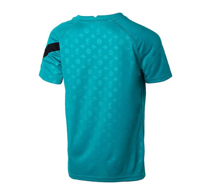 Футболка Nike Lfc Y Nk Dry Top Ss Pm CZ2753-300