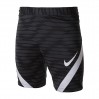 Шорты Nike M NK DRY STRKE21 SHORT K