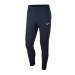 Nike Dry Academy 18 Pant Spodnie 451