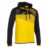 Олимпийка Joma Supernova II 101605.901 цвет: желтый/черный