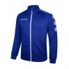 Олимпийка Training Jacket 3881324.9409 цвет: синий
