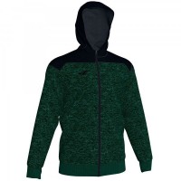 Олимпийка Joma Winner II 101283.425 цвет: зеленый/черный