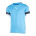 Футболка Puma Teamrise Jersey Jr 70493818