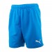 Шорты Puma Teamrise Short Jr 70494302