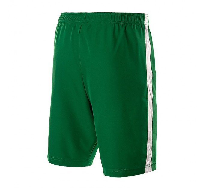Шорты Nike Dry Short II WVN