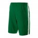 Шорты Nike Dry Short II WVN
