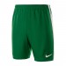 Шорты Nike Dry Short II WVN